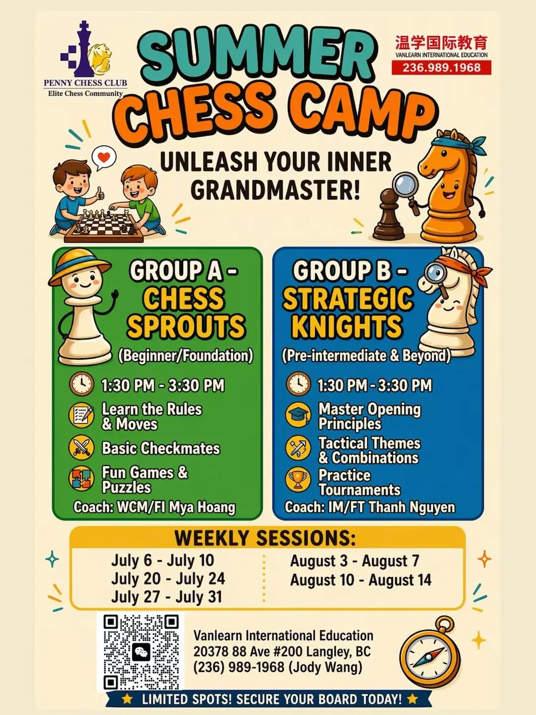 VanLearn summer chess camp flyer